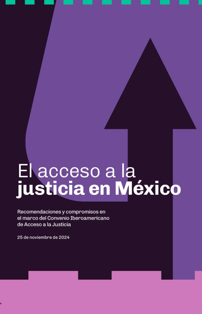 El acceso a la justicia en México - Documenta